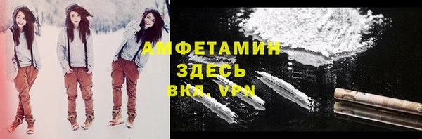 прущий лед Бородино