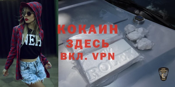 spice Богородск