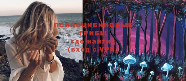дмт Бугульма