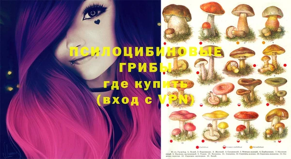дмт Бугульма