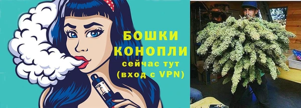 spice Богородск