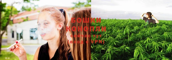 spice Богородск