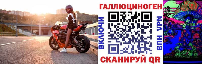 Псилоцибиновые грибы мицелий  Купить где  Заозёрск 